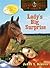 Lady's Big Surprise (Lucky Foot Stable, #1)