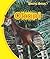Okapi (Unusual Animals)