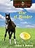 Star of Wonder (Lucky Foot Stable, #2)