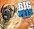 Big Pets (Pebble Plus: Big)