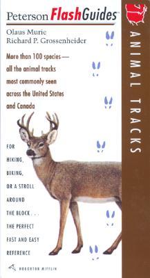 Peterson Flashguides Animal Tracks (Paperback)
