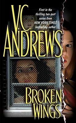 Broken Wings (Broken Wings, #1)