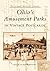 Ohio's Amusement Parks in Vintage Postcards (OH) by David W. Francis