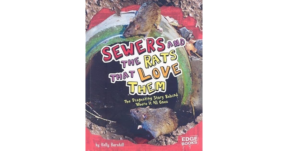 Sewers and the Rats That Love Them The Disgusting Story Behind Where