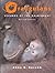 Orangutans: Wizards of the ...