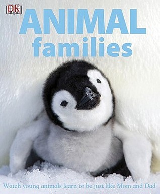 Animal Families (Hardcover)