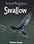 Swallow (Animal Neighbors)