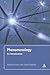 Phenomenology: An Introduction