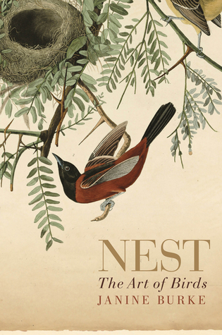 Nest: The Art of Birds (Hardcover)