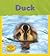 Duck (Life Cycles)