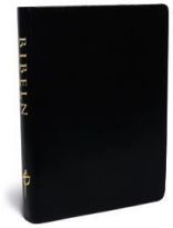 Bibeln: Bibelkommissionens Översättning (Leather Bound)