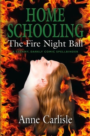The Fire Night Ball (Home Schooling, #1)