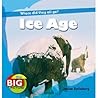 Ice Age: Where Did They All Go? (The Big Picture)