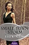 Small Town Storm by Elise K. Ackers Small Town Storm by Elise K. Ackers
