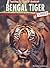 Bengal Tiger