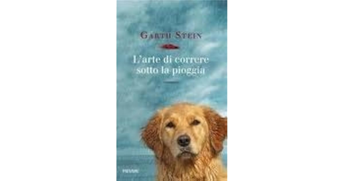 L Arte Di Correre Sotto La Pioggia