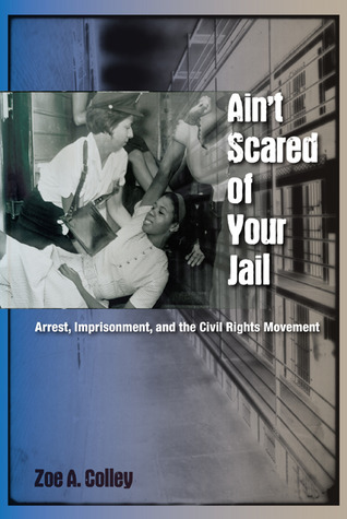 Ain't Scared of Your Jail: Arrest, Imprisonment, and the Civil Rights Movement (New Perspectives on the History of the South)