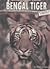 Bengal Tiger (Animals Under Threat)