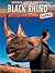 Black Rhino