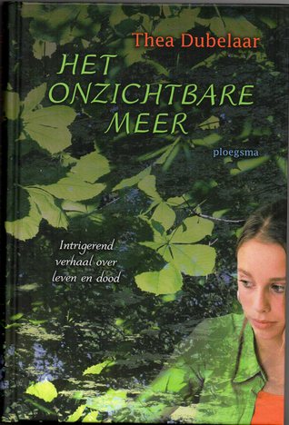 Het Onzichtbare Meer