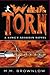 War Torn (King's Assassin #2)