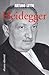 Heidegger (Spanish Edition)