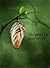 Monarch: Chrysalis