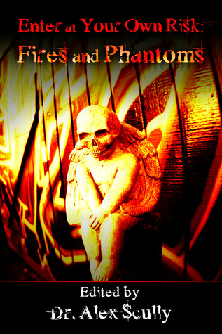 Enter At Your Own Risk: Fires and Phantoms (Paperback)