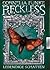 Reckless - Lebendige Schatten (Reckless, #2)