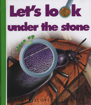 Let's Look Under the Stone (First Discovery Close-up)