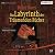 Das Labyrinth der Träumenden Bücher (Zamonien, #6)