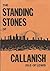 The Standing Stones of Callanish by Gerald Ponting