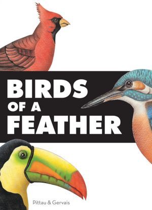 Birds of a Feather (Hardcover)