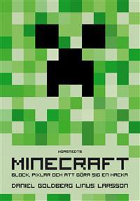 Minecraft: block, pixlar och att göra sig en hacka - Historien om Markus