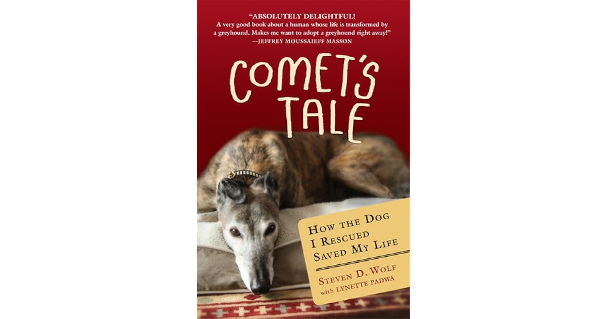 Comet's Tale: How the Dog I Rescued Saved My Life by Steven D. Wolf