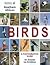 SASOL Southern African Birds: A Photographic Guide