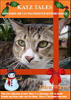 Katz Tales How Boris The Cat Was Reunited With His Family