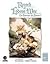 Record of Lodoss War. La dama de Faris, Volume 1 by Ryo Mizuno