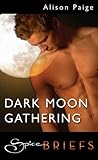 Dark Moon Gathering by Alison Paige