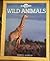 Wild Animals