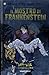 Il mostro di Frankenstein by Pablo Marcos