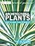 Architectural Plants : Fern...