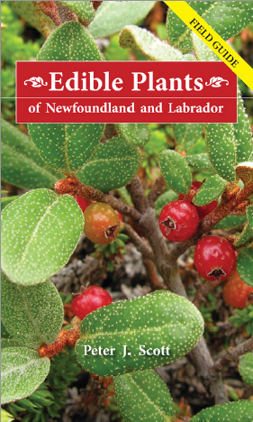 Edible Plants of Newfoundland and Labrador (Paperback)
