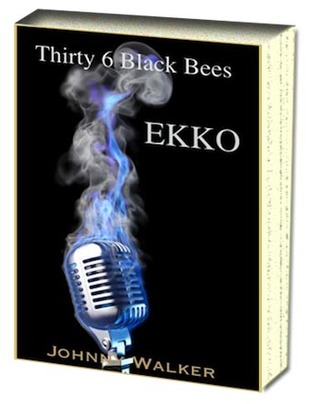 Thirty 6 Black Bees (EKKO Trilogy #2)