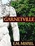 Garnetville: A Gay Novel