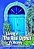 Living in the Real Cyprus by Vic Heaney