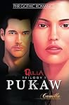 Pukaw