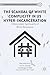 The Scandal of White Complicity in US Hyper-incarceration by Alex Mikulich