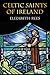 Celtic Saints of Ireland
