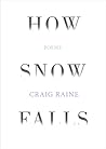 How Snow Falls by Craig Raine